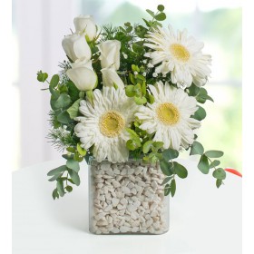 Vazoda beyaz Gerbera ve Beyaz Güller 